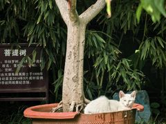 -李叔同故居纪念馆
