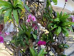 -人民公园(罗湖区)