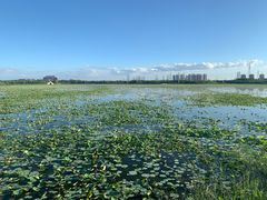 -天津东丽湖风景区