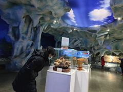 -中国第四纪冰川遗迹陈列馆