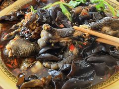 酸辣鸡爪-三毛鱼庄(威连路店)