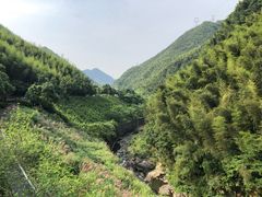 -长谷洞天