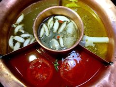 -老诚一锅羊蝎子(黄寺大街店)