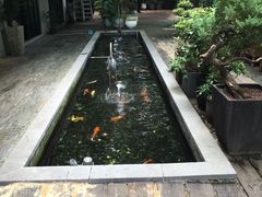-T館·花园艺术餐厅