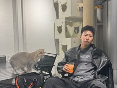 -琪喵猫屋·撸猫猫咖·猫舍