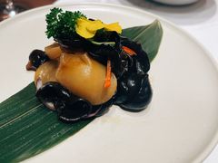 -觅唐MITONG(鸟巢店)