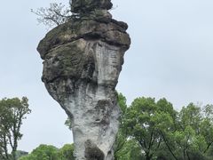 -柯岩风景区