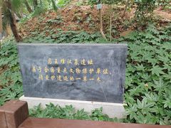 -马王堆汉墓遗址