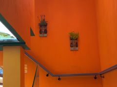 -泰古龙抓龙筋·spa按摩(静安店)