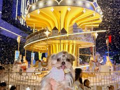 -东莞松山湖万象汇