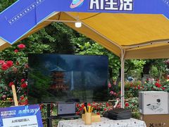-花溪公园