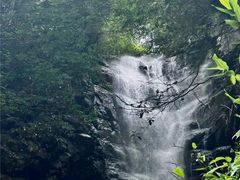 -长谷洞天