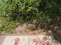 -孤山景区-孤山寺