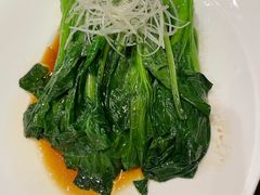 -海派美食·家宴海鲜青岛菜·石锅鲽鱼头(东方城店)