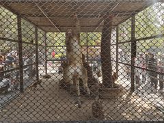 -长白岛森林公园