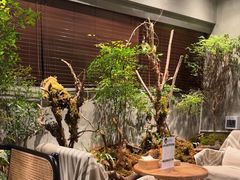 -森SPA·泰式按摩·精油Massage(宝安中心店)
