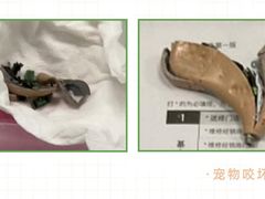 -自然之声助听器·呼吸机(翠微大厦店)