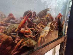 -叁宝烤肉• 西安烧烤(高科新花园店)