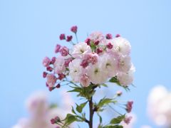 -堤角公园