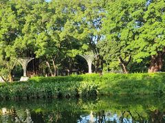 -侨美·唐荔园·40年地道粤菜