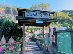 -青青世界