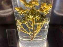-广东中医药博物馆