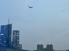 -天鹅湖体育公园