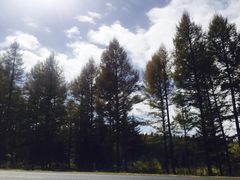 -塞罕坝国家级自然保护区