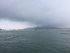-枸杞岛