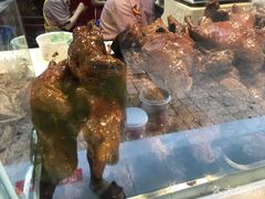 -王浩儿纪六孃甜皮鸭(乐山总店)