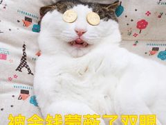 -老大昌(淮海中路店)