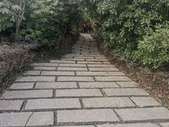 -长广溪湿地公园