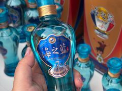 -龙湖南京江北天街