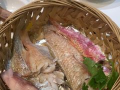 -百年银屏蚝烙·潮汕菜·非遗(乐山店)