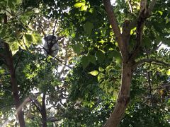 -费瑟代尔野生动物园