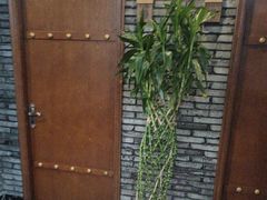 -天禧(西溪店)