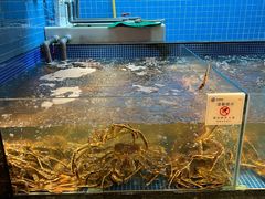 -东海怡品海鲜豆捞(星街坊店)