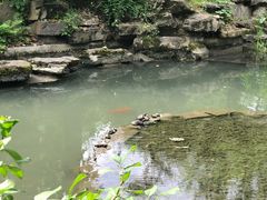 -成都武侯祠博物馆