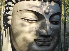 -杭州植物园