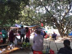 大堂-丰依竹食·老牌竹筒饭