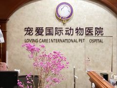 -宠爱国际动物医院· 猫科· 外科·中兽医(长白店)