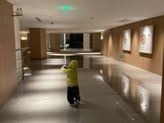 -上海佘山世茂艾美酒店