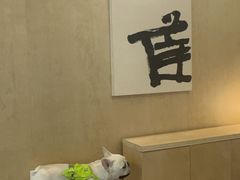 -麻雀咖啡SPARROW COFFEE(十全街店)