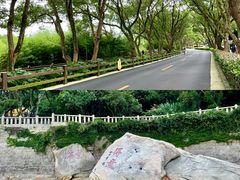 -普陀山雷迪森庄园