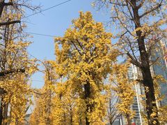 -百林公园-两江幸福广场