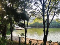 -禧月荟·爱丽馨月子中心(山庄店)