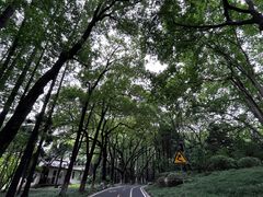 -采石矶景区