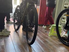 -道路口单车爱瓦士dahon大行