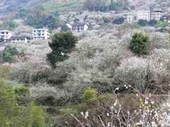 -福建天门山