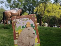 -北京野生动物园